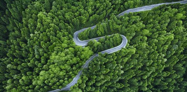 森林茂密的地区对于基于卫星的自动道路标记导航来说是一个巨大的挑战